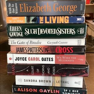 Book Lot. Novels, fiction historical fiction, thriller. Oprah book club.
